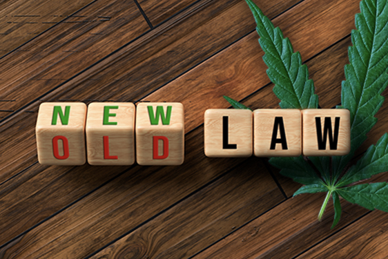 Cannabis-Label-Regulations-Continually Changing