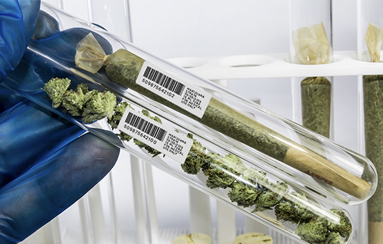 cannabis-label-barcode-for-tracking